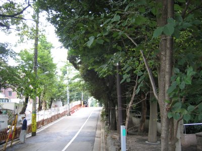 御殿山通り